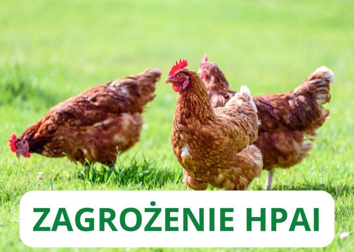Komunikat - ptasia grypa (HPAI) na terenie Gminy Brzeziny