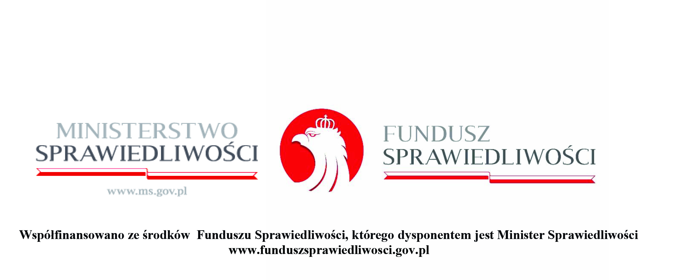 Informacja na stronę internetową