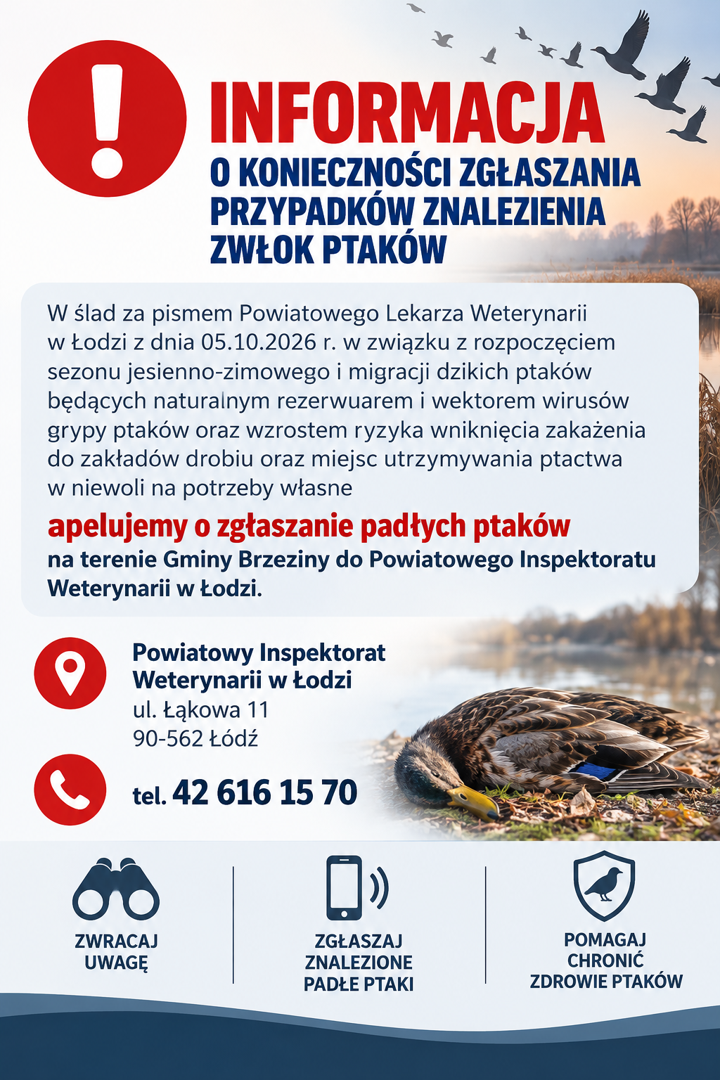 Informacja o zgłaszaniu padłych ptaków