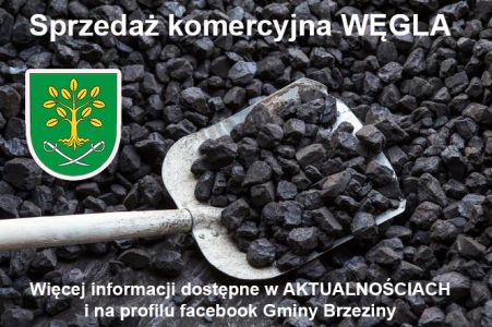 Informacja o przystąpieniu do sprzedaży końcowej paliwa stałego dla gospodarstw domowych.