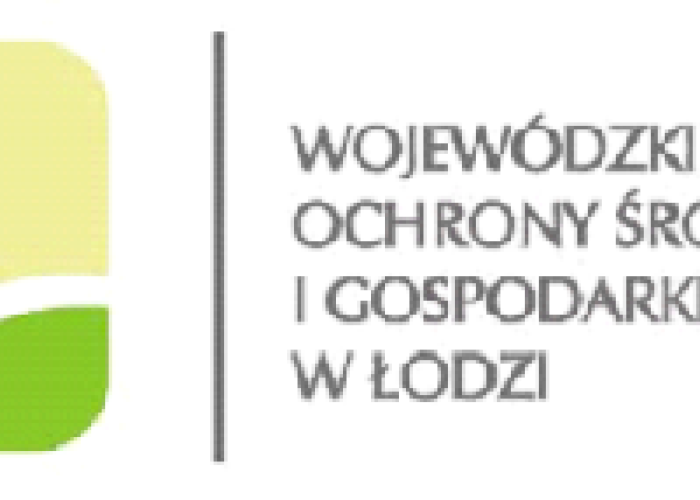 Zadanie pn.: „Usuwanie wyrobów zawierających azbest na terenie Gminy Brzeziny w 2019r.”