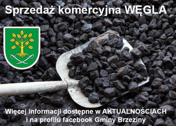 Informacja o przystąpieniu do sprzedaży końcowej paliwa stałego dla gospodarstw domowych.